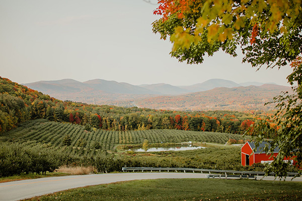 Fall foliage begins to show on trees behind a farm field with a red barn and a road visible.