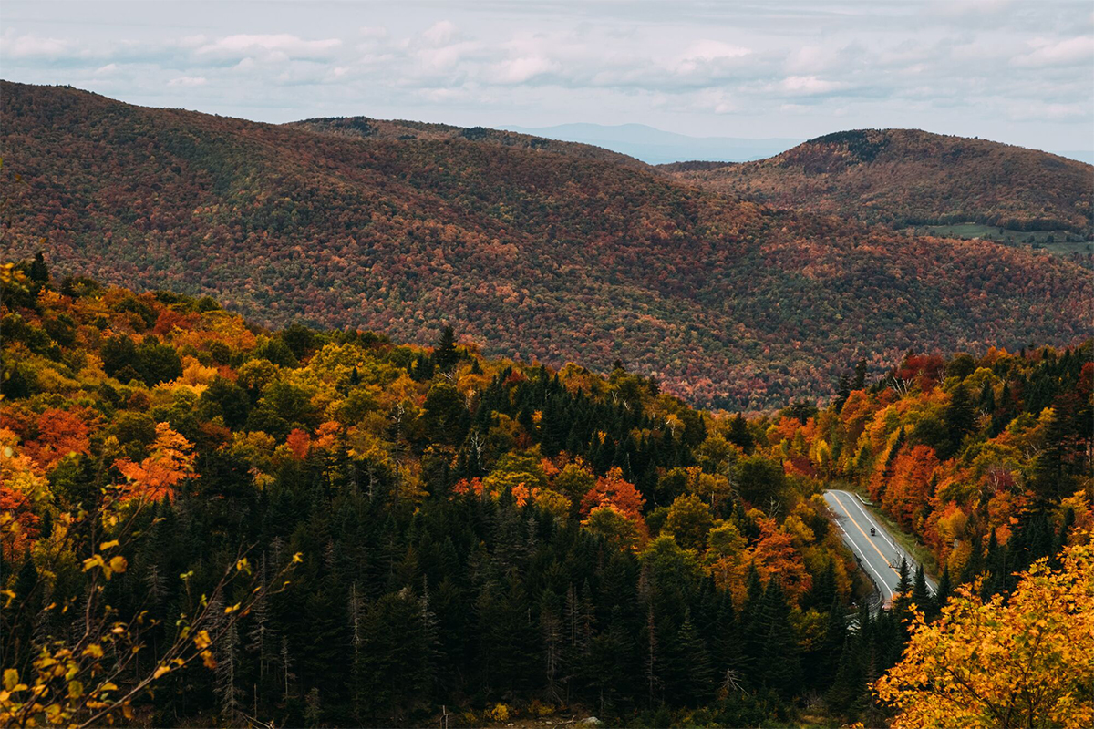 Seen from afar and above, a road ascends a mountain covered in red, orange, and yellow trees in the fall on a misty day. 