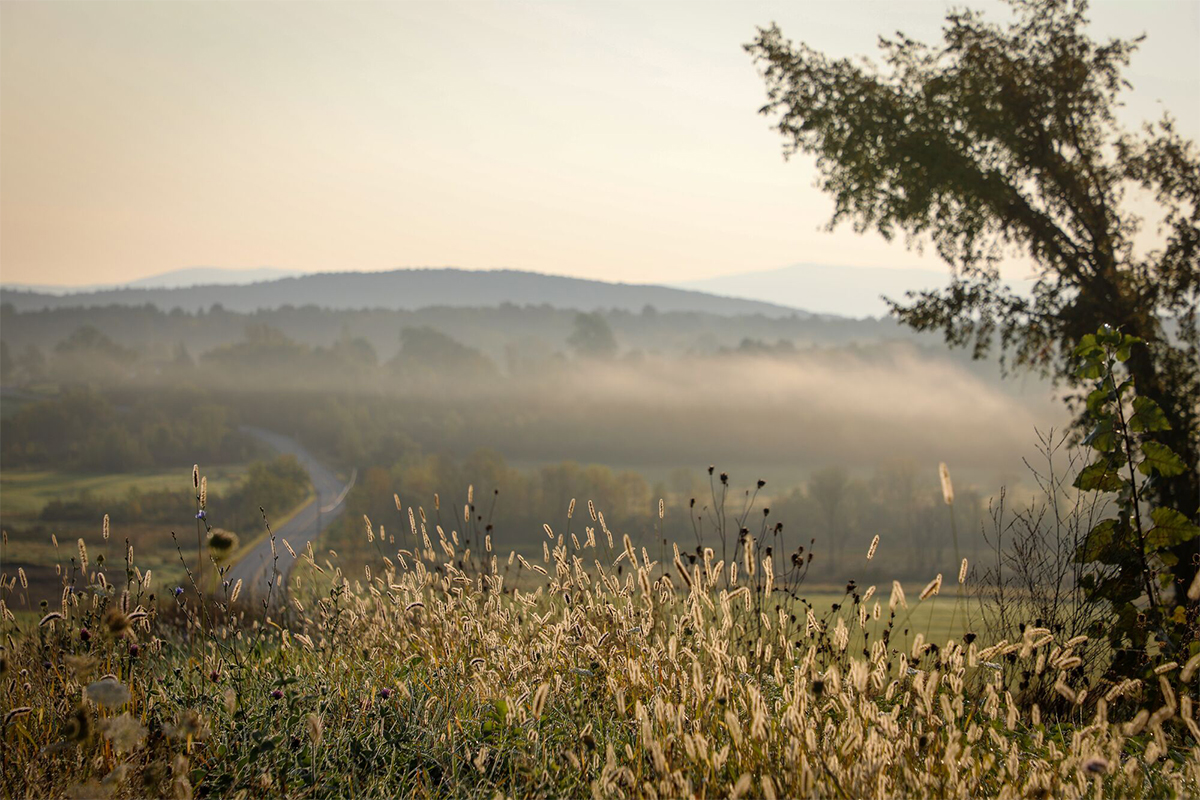 Mist winds through a field in late fall. A road is visible through the mist. 
