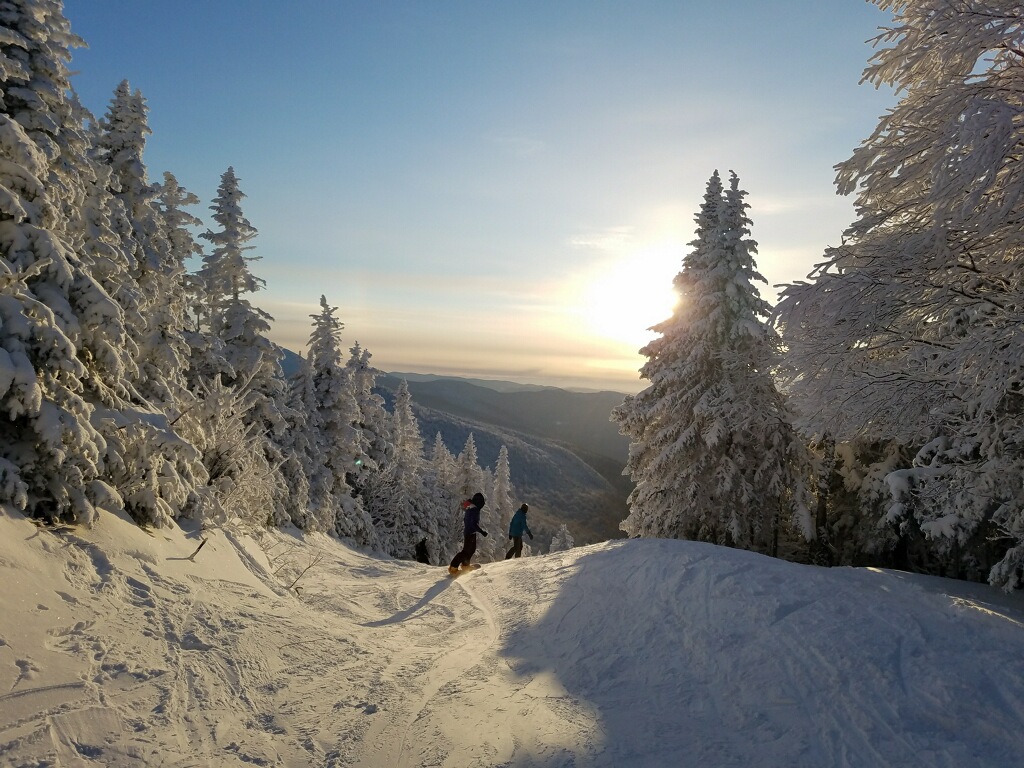 Two skiers are standing on a snowy slope with trees