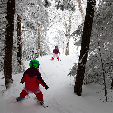 Two children on skis make their way through a snowy forest in the winter.&nbsp;
