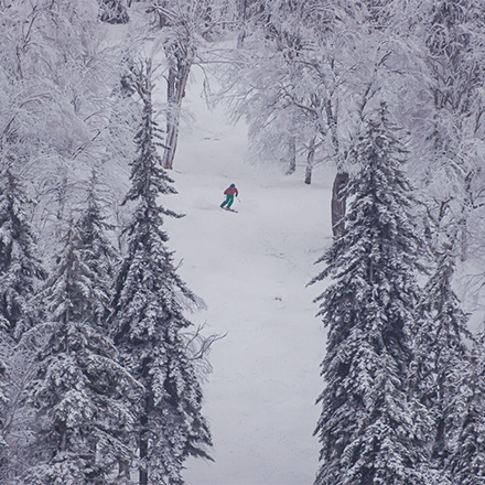 A person skis toward the camera on a snowy day through deep snow on a mountain with trees all around.