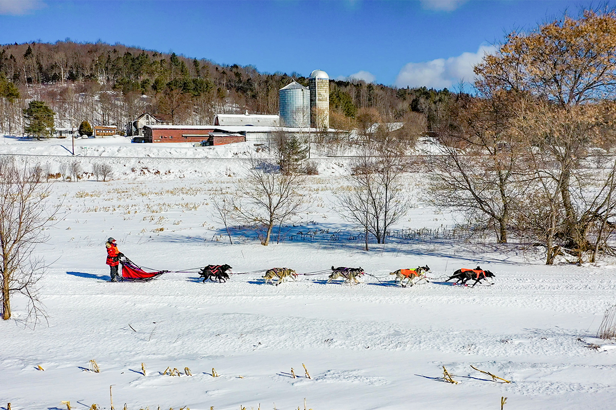 A team of sled dogs in the snow pulling a person. 