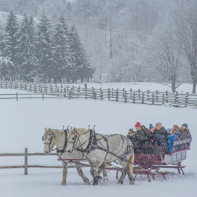 Two horses harnessed to a sleigh pull a group of people along on a ride on a snowy winter day.