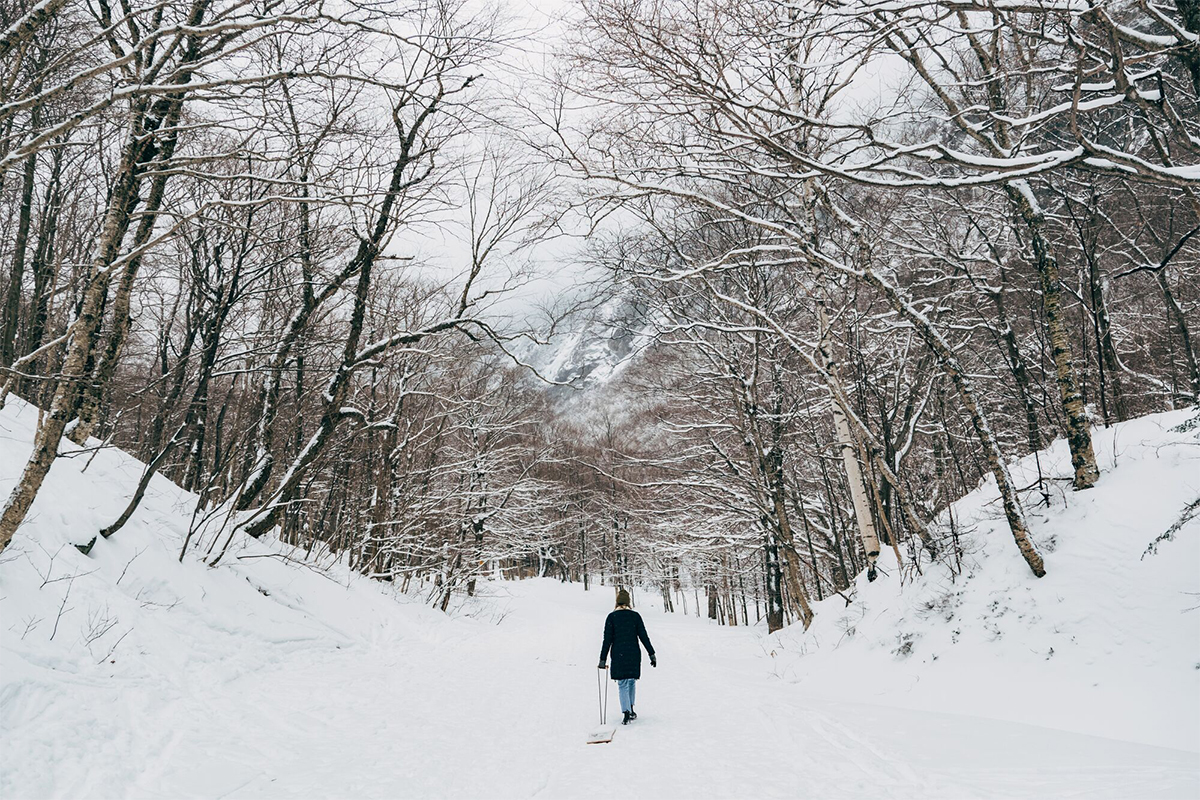 A person walks a sled away from the camera on a snowy trail with woods surrounding in the winter. 