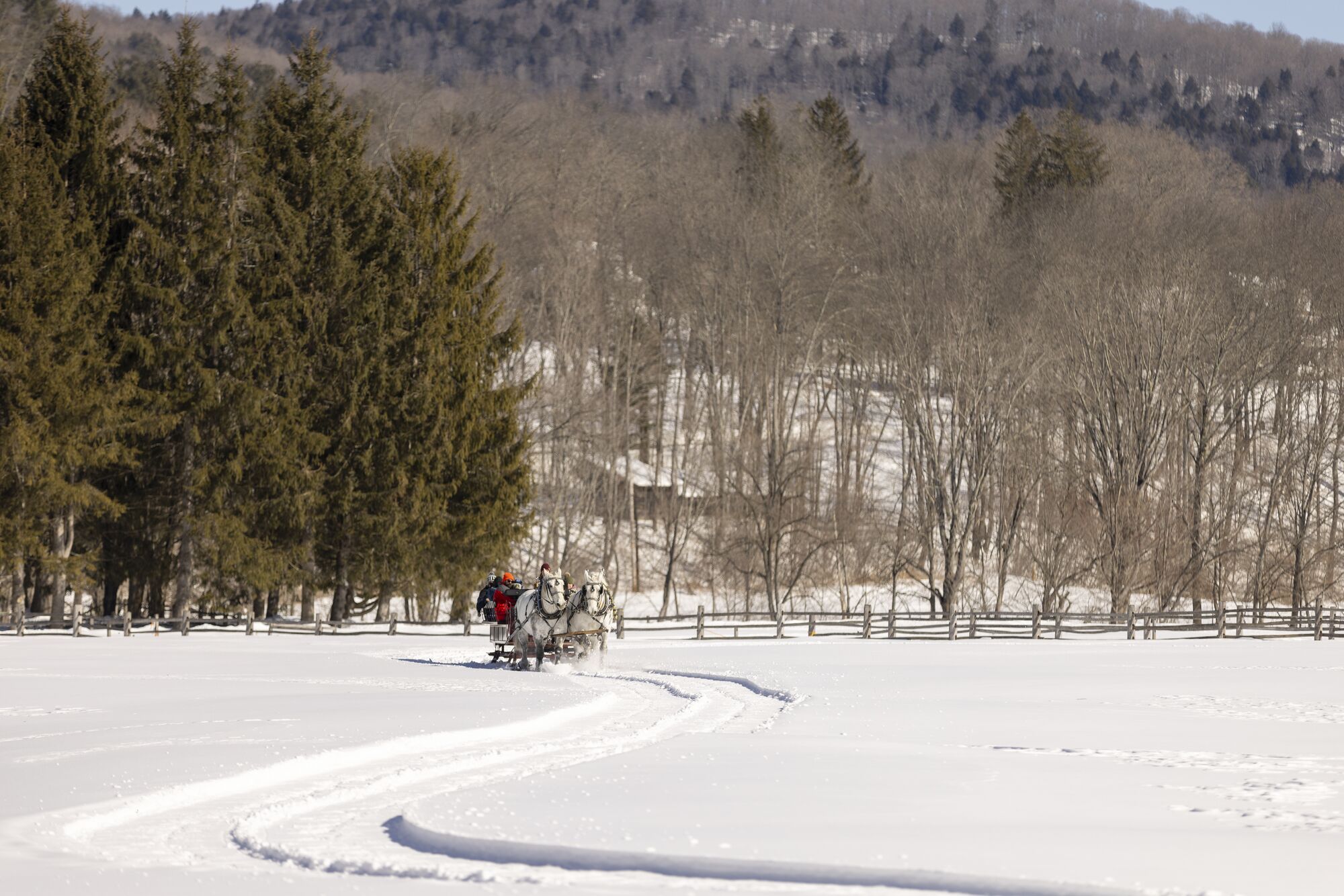 A sleigh loaded with passengers pulled by two horses rides toward the camera across a snowy field on a sunny day.&nbsp;