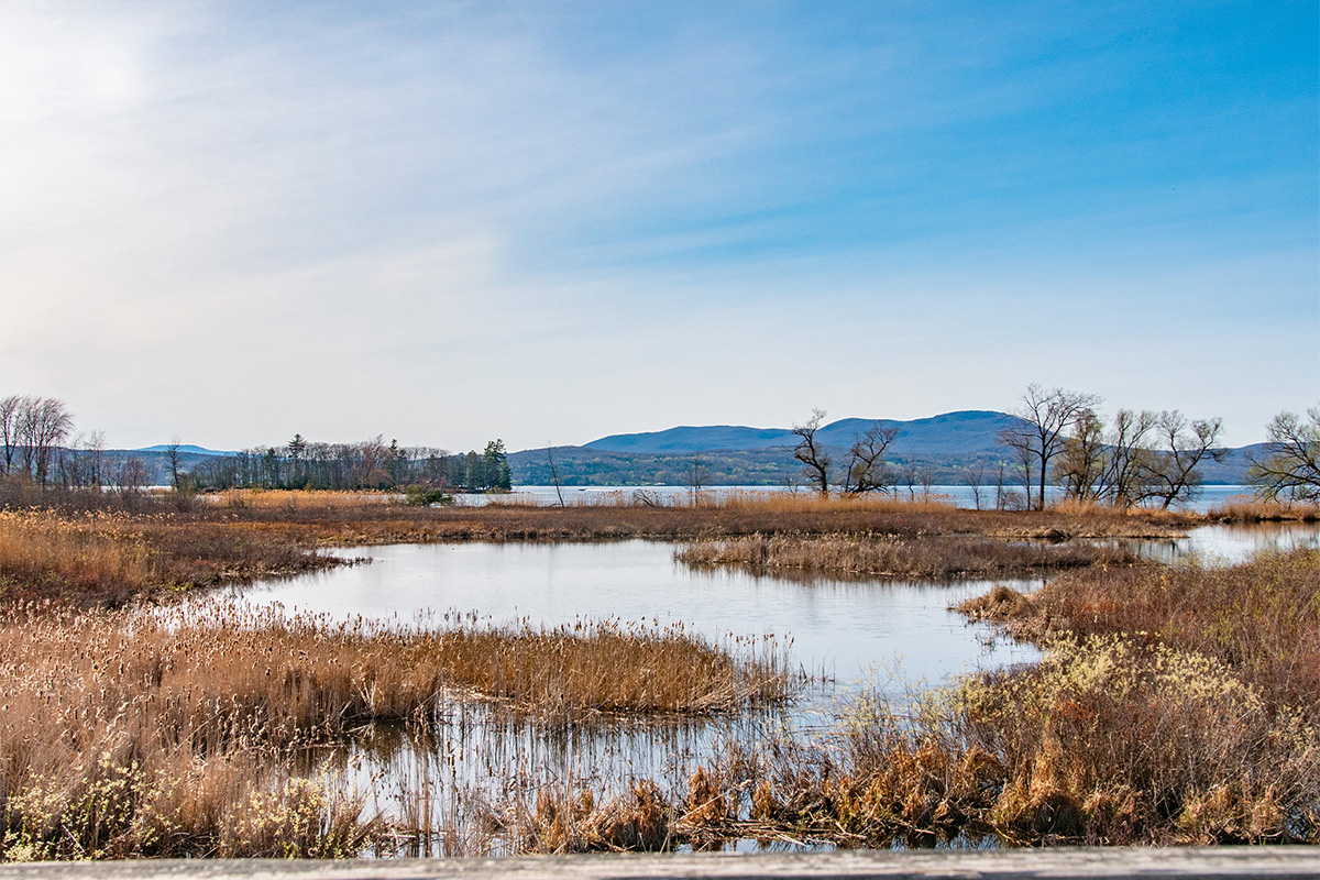 The view from a boardwalk trail including a marsh and a mountain in the distance with a sunny blue sky.