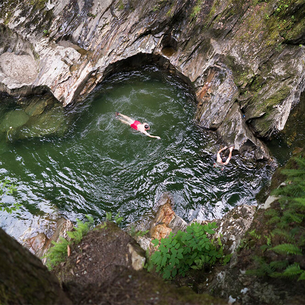 Two people are swimming in a small body of water in a forest. 