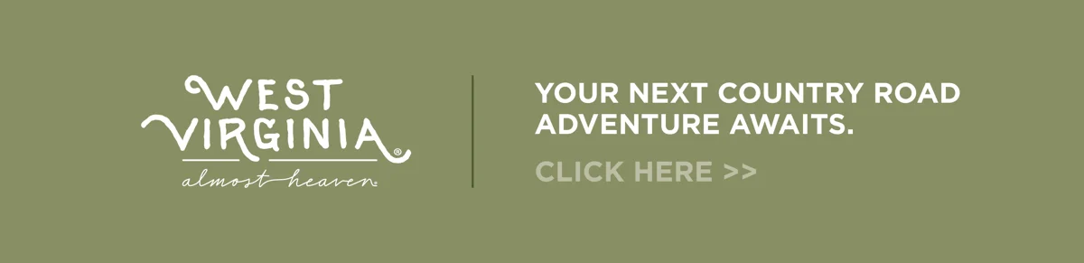 Email Template Footers_Summer