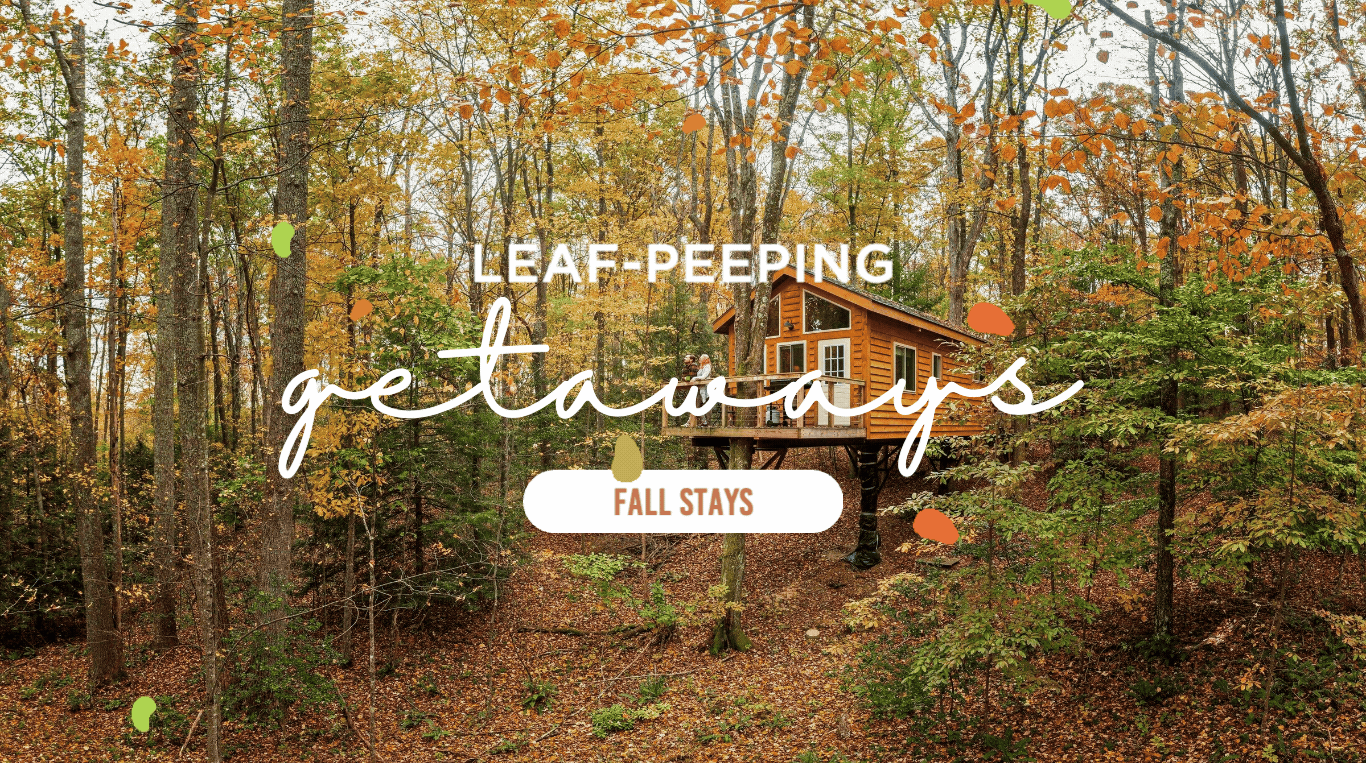 08.29.24 WVDT -  Fall Planning 