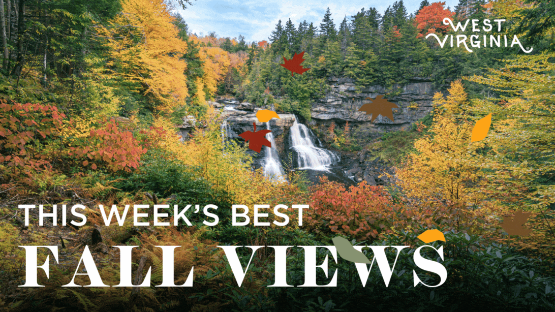WVDT - Week 1 - Fall Foliage Updates 2024 (1)