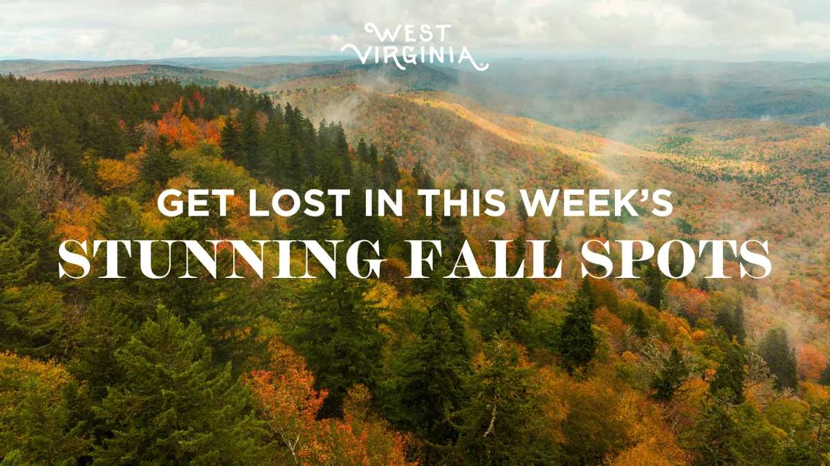 WVDT - Week 2 - Fall Foliage Updates 2024