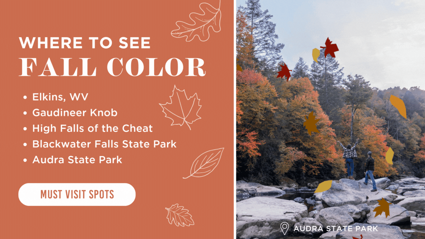 WVDT - Week 2 - Fall Foliage Updates 2024