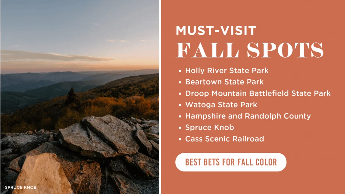 WVDT - Week 3 - Fall Foliage Updates 2024 (2)