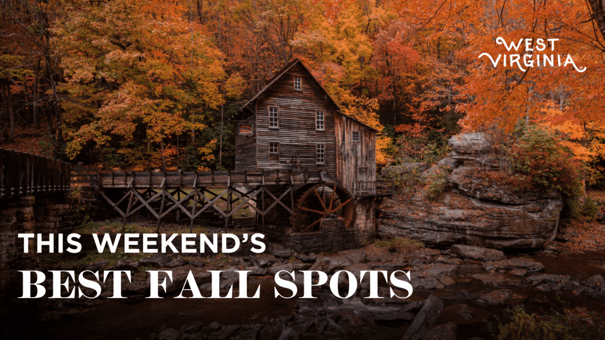 Copy of WVDT - Week 2 - Fall Foliage Updates 2024 (1)