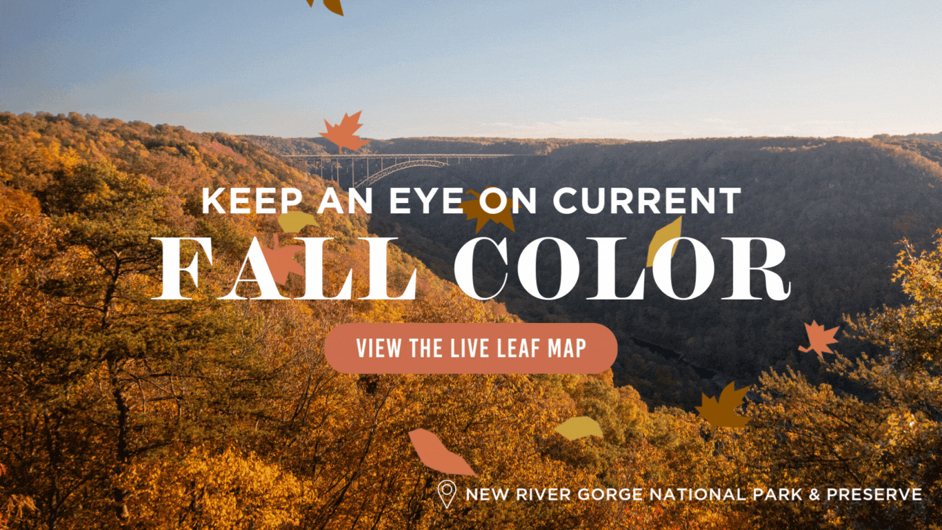 Copy of WVDT - Week 2 - Fall Foliage Updates 2024 (2)