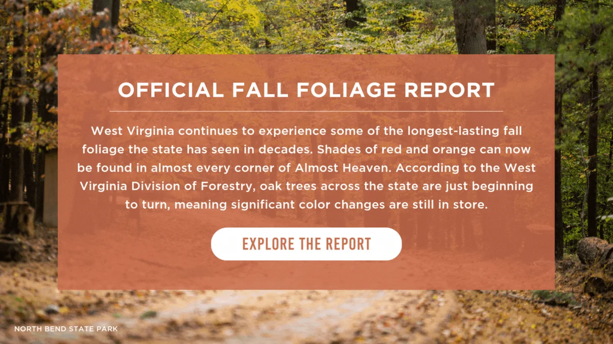 WVDT - Week 5 - Fall Foliage Updates 2024 (4)