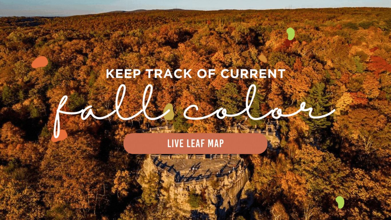 WVDT - Week 5 - Fall Foliage Updates 2024 (2)