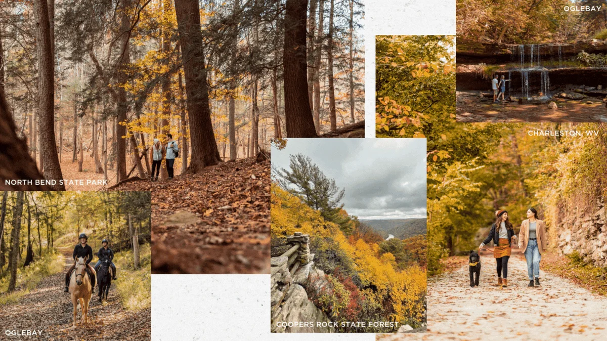 WVDT - Week 5 - Fall Foliage Updates 2024 (1)