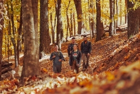 A group of friends enjoying a nature walk through a forest 