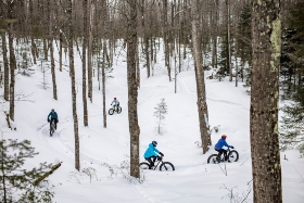family fat tire biking in the snowy woods 