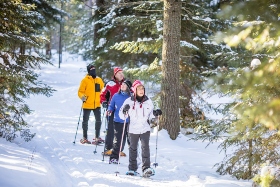 friends snowshoe through the woods