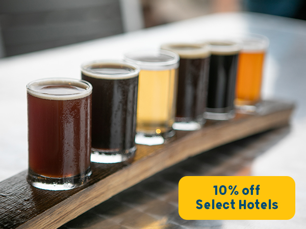 Six beer tasters lined up and ready for a tasting