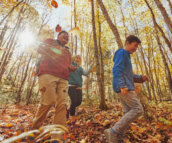 family hiking through the woods and enjoying the fall colors