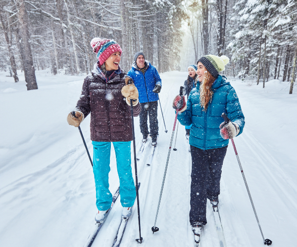 family cross country skiing through the woods with light snowfall falling