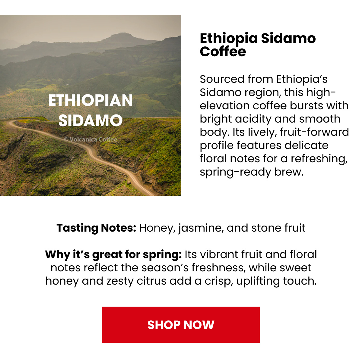 Shop Ethiopia Sidamo Coffee