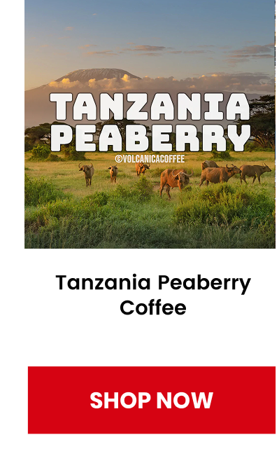 Shop Tanzania Peaberry Coffee