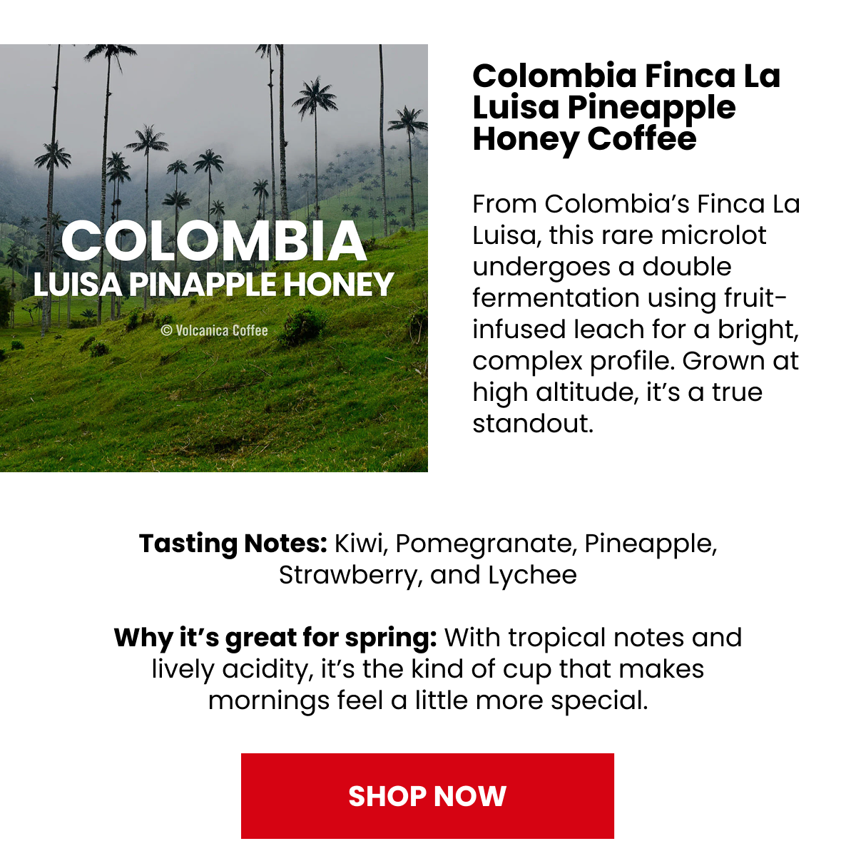 Colombia Pineapple Honey Coffee, Finca La Luisa