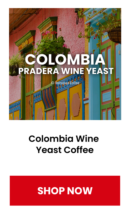 Colombia Wine Yeast Coffee