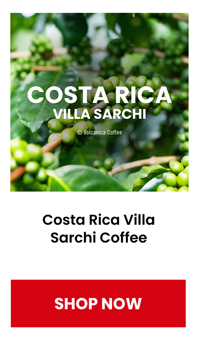 Costa Rica Villa Sarchi Coffee