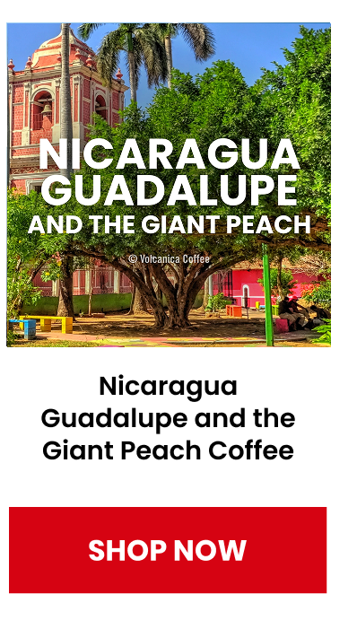 Nicaragua Guadalupe and the Giant Peach Coffee