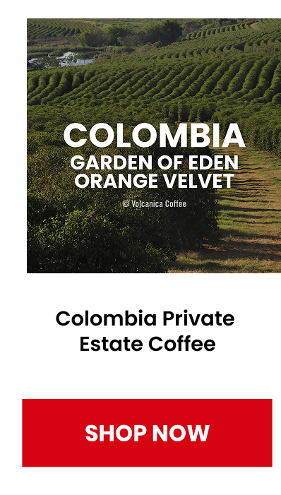 Colombia Private Estate Coffee, Jardines Del Eden Felipe Arcila, Orange Velvet