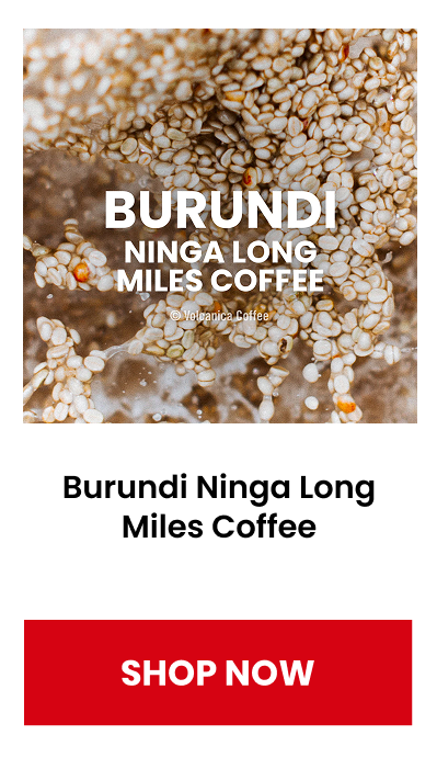 Burundi Ninga Long Miles Coffee