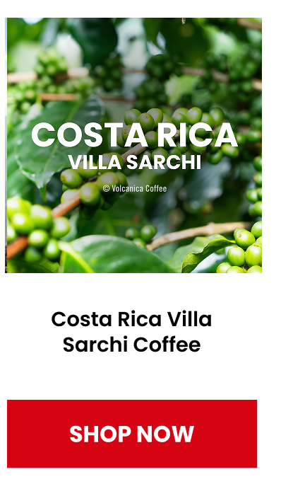 Costa Rica Villa Sarchi Coffee