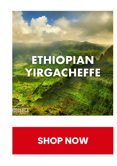 Ethiopian Yirgacheffe Coffee - USDA Organic