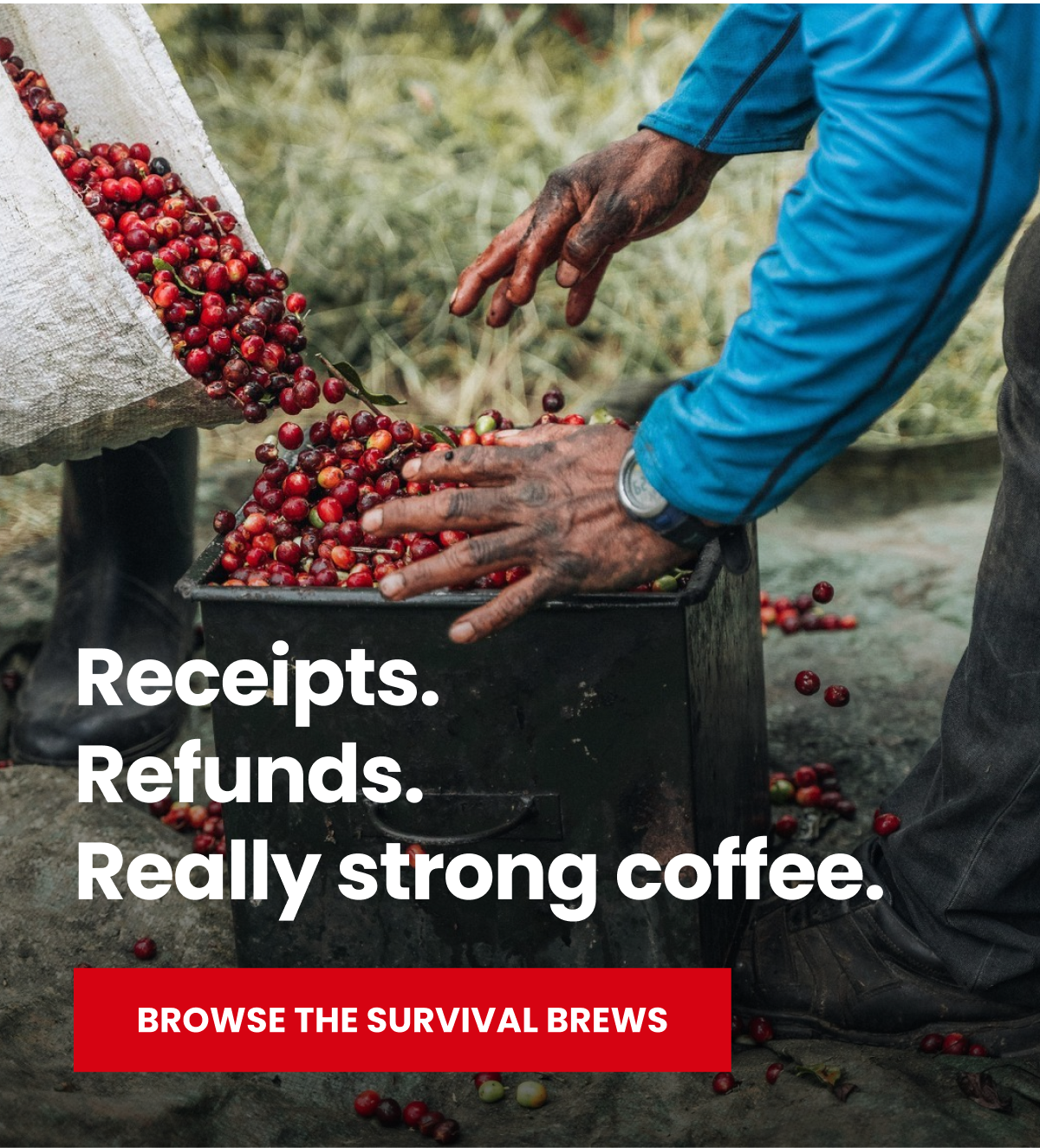 Shop Dark Roast Coffee