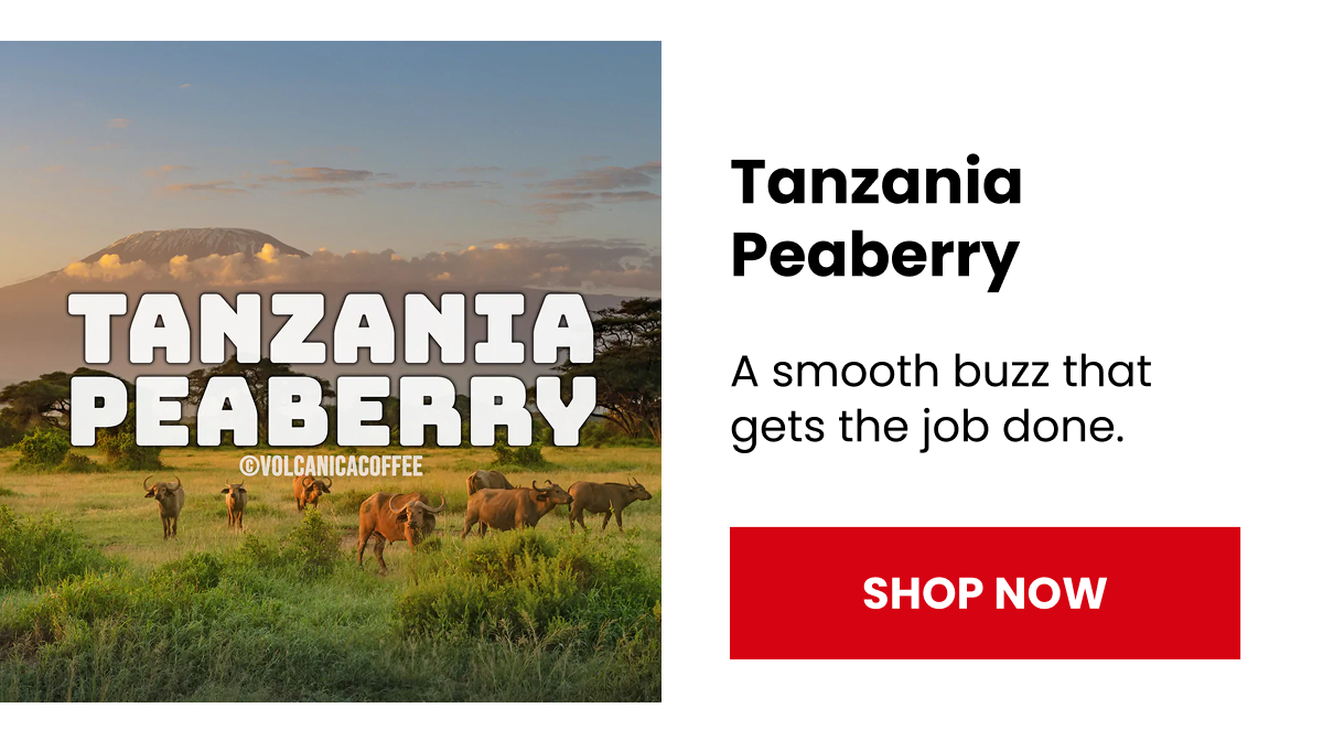 Tanzania Peaberry Coffee
