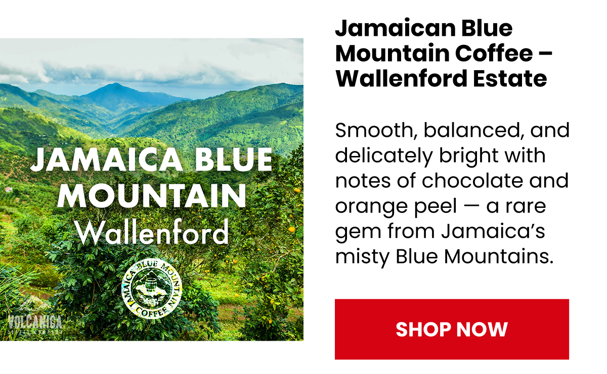 Jamaican Blue Mountain Coffee Beans - Wallenford