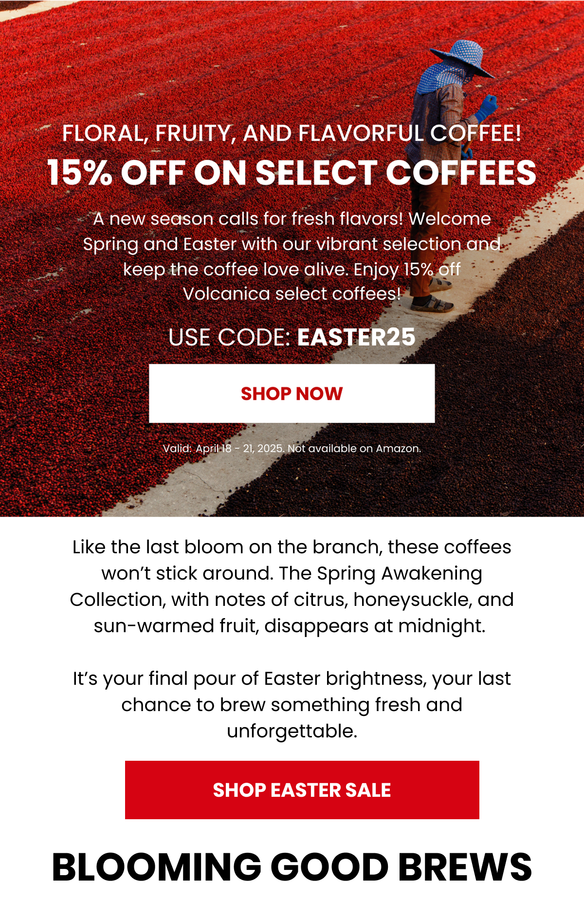 Shop Easter Sale
