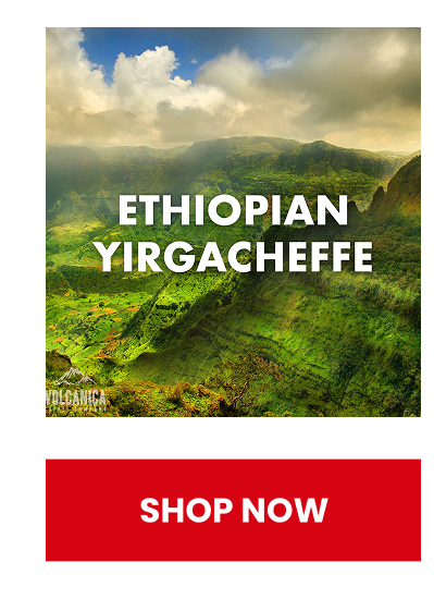 Ethiopian Yirgacheffe Coffee - USDA Organic