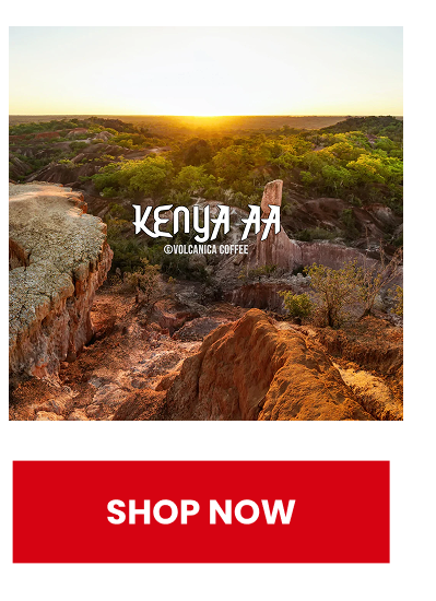 Kenya AA Coffee - Kenya Coffee