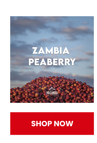 Zambia Peaberry Coffee