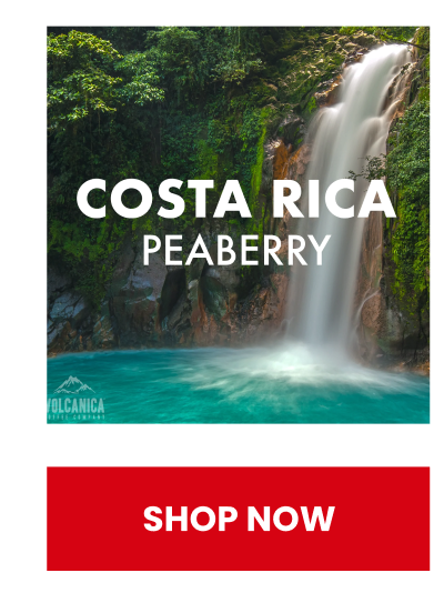 Costa Rica Peaberry Coffee