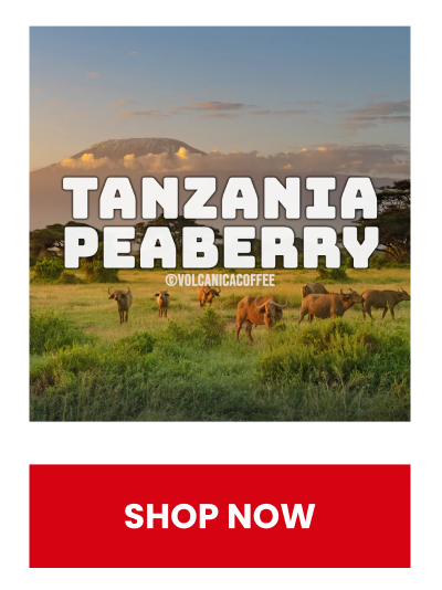 Tanzania Peaberry Coffee