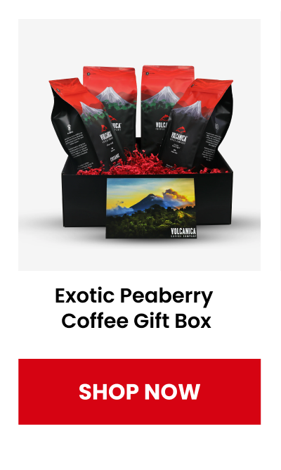 Exotic Peaberry Coffee Gift Box