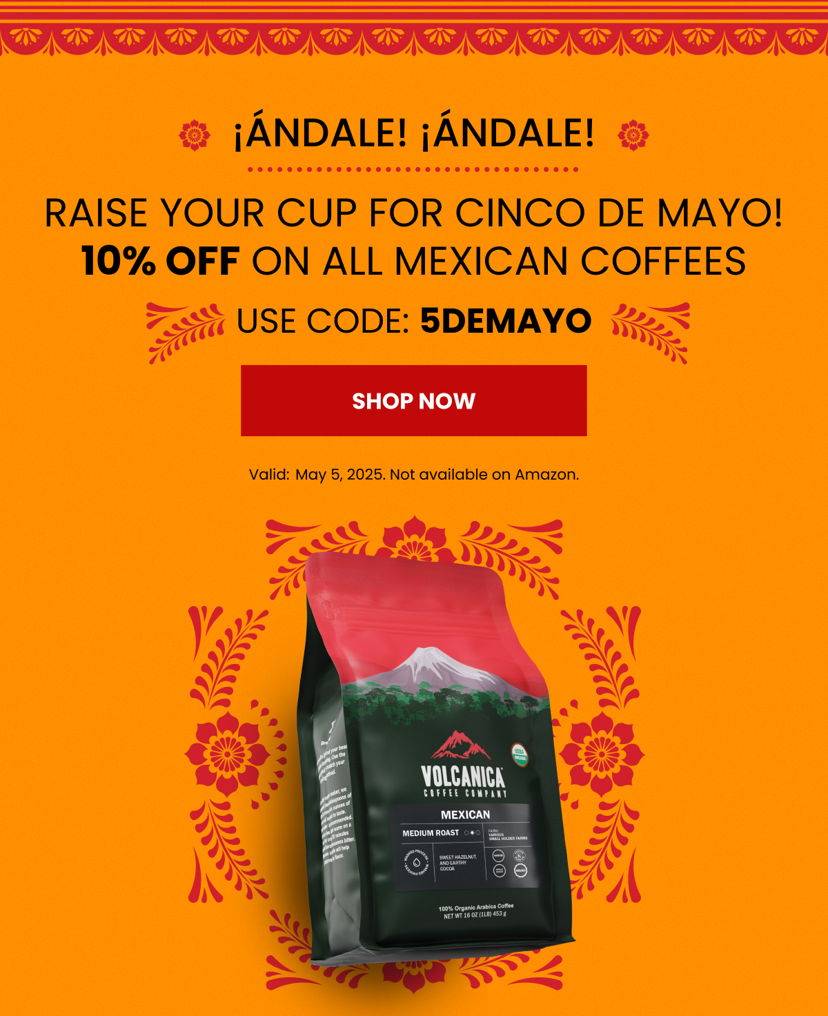 Celebrate Cindo De Mayo with 10% OFF